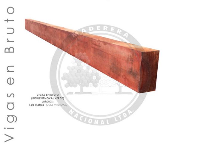 Viga en Bruto 7mts